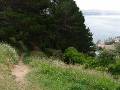 76-HobbitsPath Hobbits' path on Mt Victoria