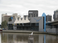 20100813-MelbourneAquarium