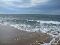 20100814-Surfer