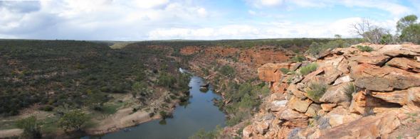 20100818-pan-KalbarriNP-HawksHead