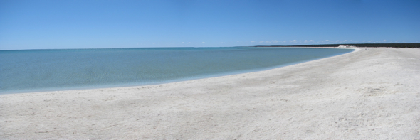 20100819-pan-LHarindonBight-ShellBeach