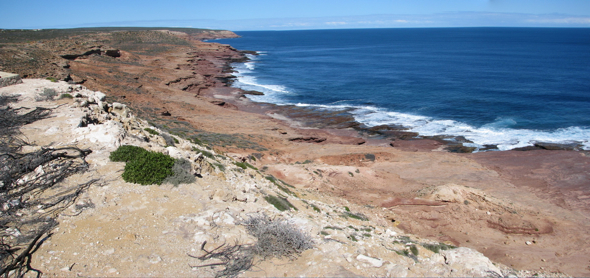 20100820-pan-RedBluff-KalbarriCliffs