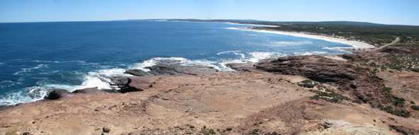 20100820-pan-RedBluffWhaleWatching