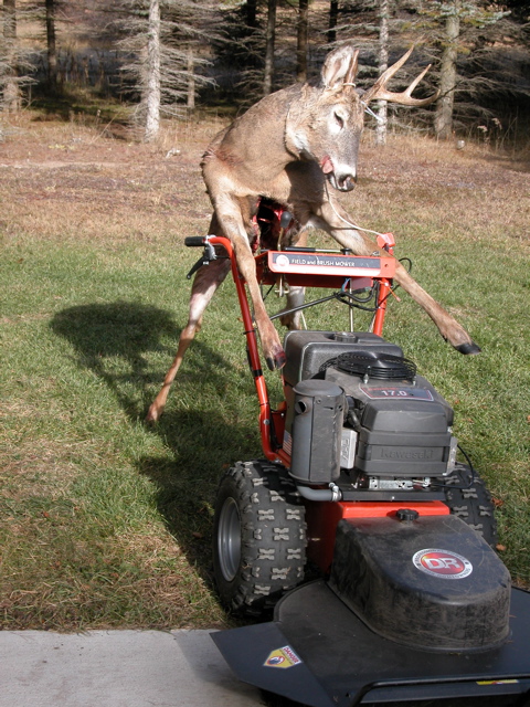 http://www.jared-lee.com/blog/images/Cumberland/Deer-Trimmer-112006.jpg