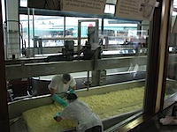 20110127-Cheesemakers.jpg