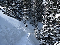 20110221-SnowyTrail.jpg
