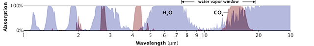 CO2 & H2O absorption